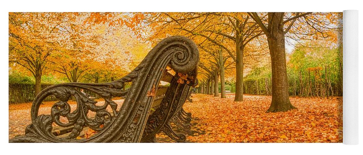 Regents Park Yoga Mat featuring the photograph Regents Park London in November by Raymond Hill