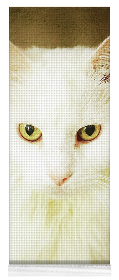 Cat; Kitten; White; White Cat; Gold; Brown; Yellow; Yellow Eyes; Cat Eyes; Kitten Eyes; Close-up; Photography; Portrait; Yoga Mat featuring the photograph Renaissance Cat by Tina Uihlein