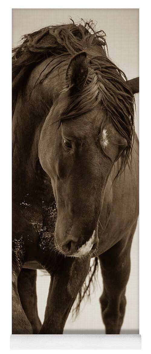 Wild Horses Yoga Mat featuring the photograph Reverence by Mary Hone