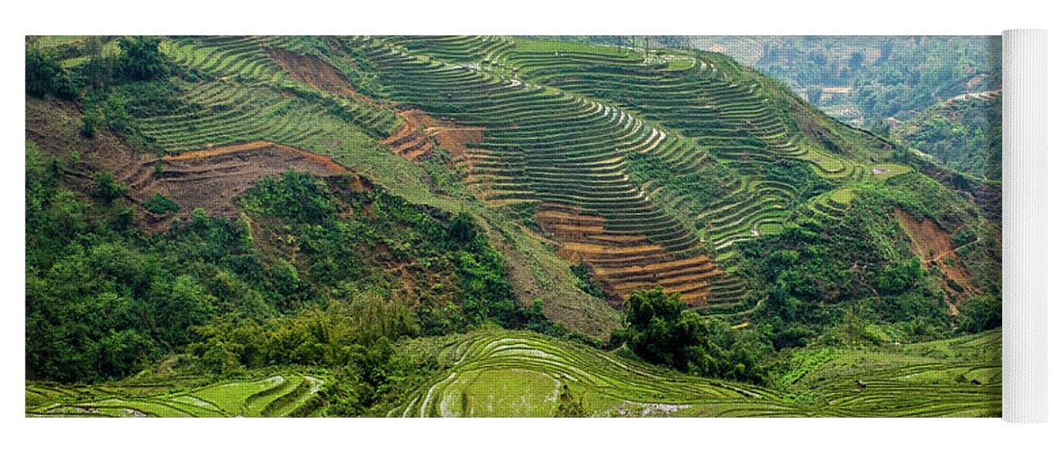 Black Yoga Mat featuring the photograph Rice Terraces of Lao Cai by Arj Munoz