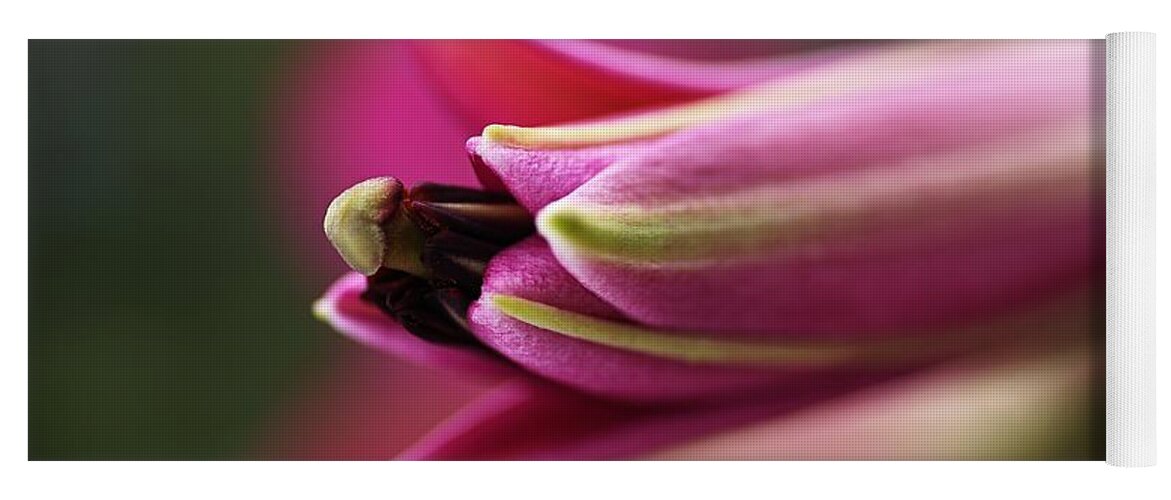 Lily Yoga Mat featuring the photograph Rich Pink Lily Bud by Joy Watson