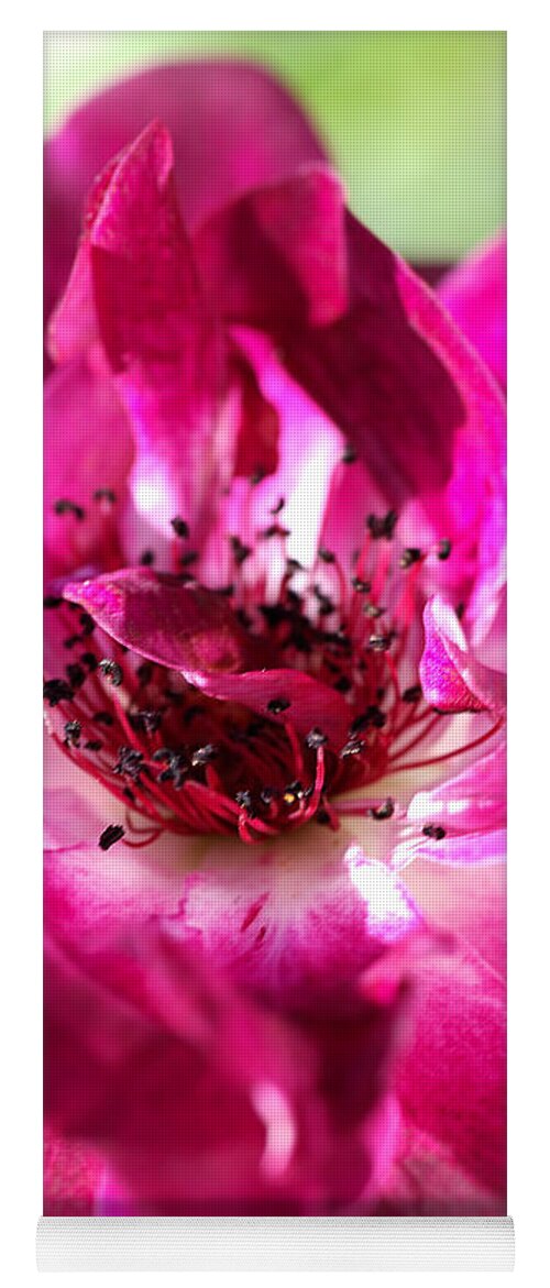 Bubbleblue Yoga Mat featuring the photograph Richly Dreamy Rose by Joy Watson