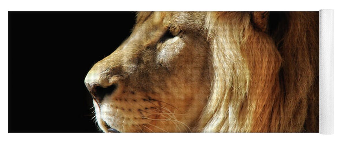 Lions Yoga Mat featuring the photograph RIP Shombay by Elaine Malott