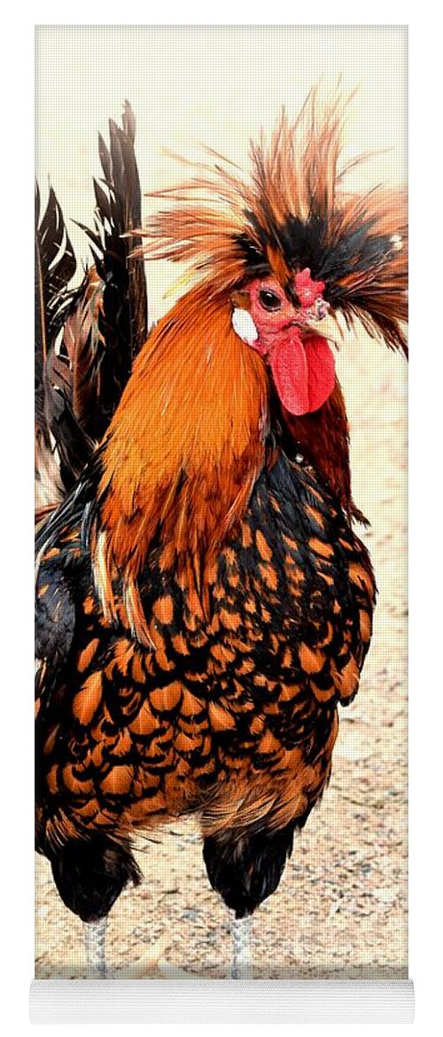 Rooster Yoga Mat featuring the photograph Rooster Photo 136 by Lucie Dumas