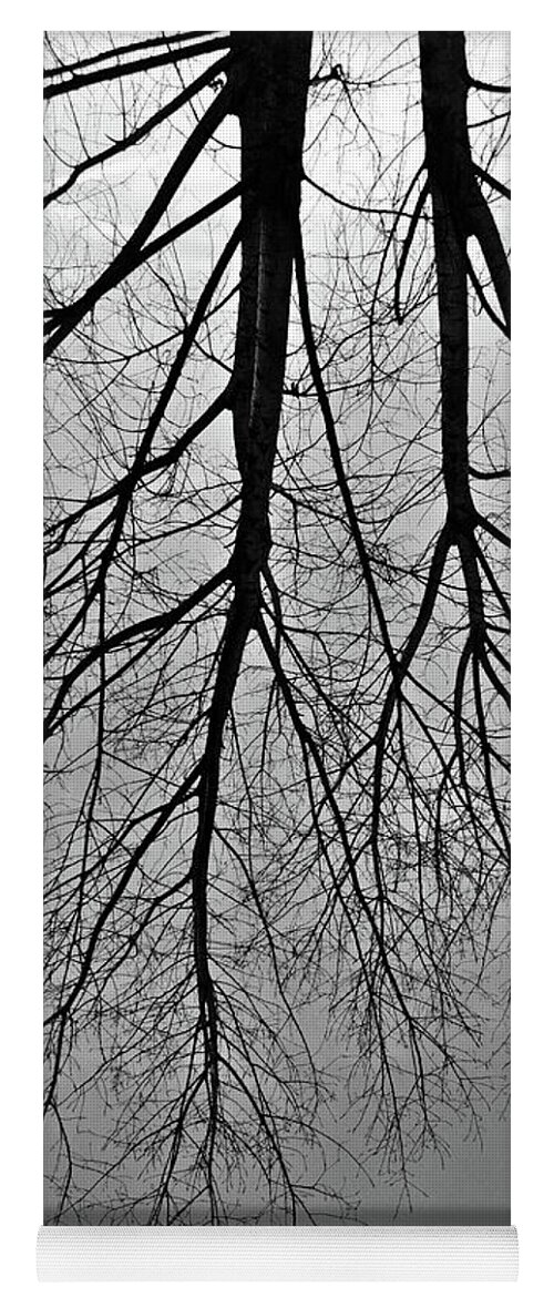 Roots Yoga Mat featuring the photograph Rooted Tree Reflections by Angelo DeVal
