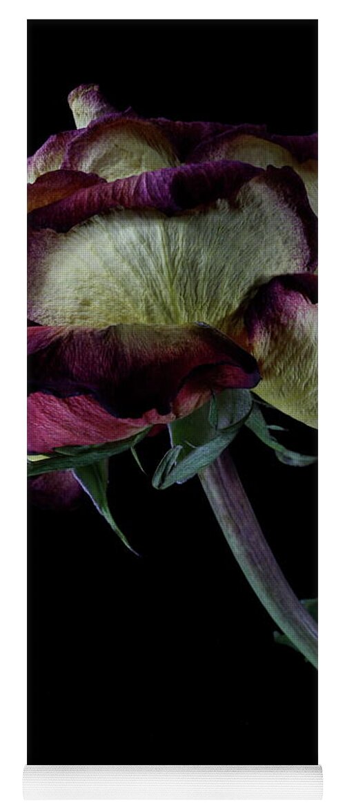 Macro Yoga Mat featuring the photograph Rose 3092 by Julie Powell