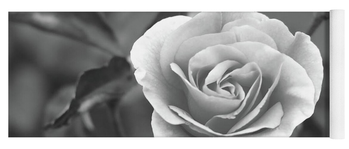 Black And White Yoga Mat featuring the photograph Rose In A Different Light by Scott Burd
