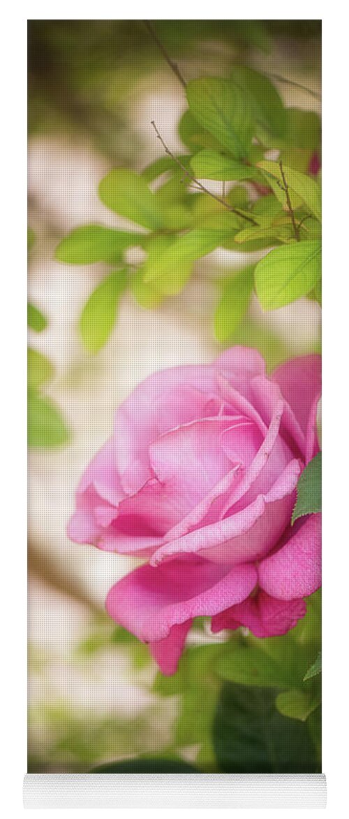 Rose Yoga Mat featuring the photograph Rose in the Light by Philippe Sainte-Laudy