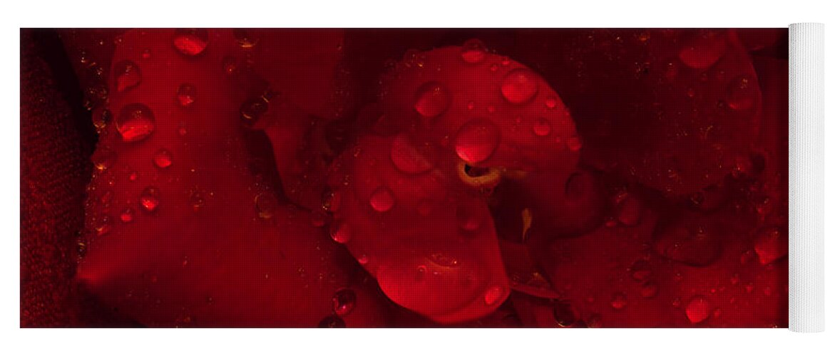Rose Yoga Mat featuring the photograph Rose with Water Droplets by Patrick Nowotny