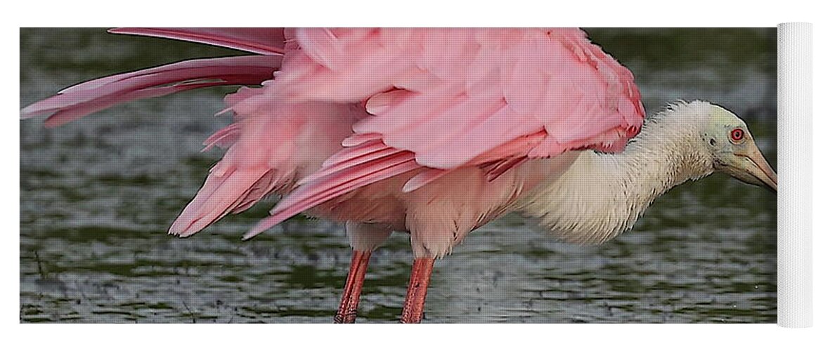 Roseate Spoonbill Yoga Mat featuring the photograph Roseate Spoonbill 14 by Mingming Jiang