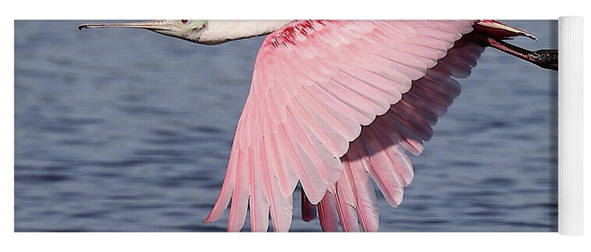 Roseate Spoonbill Yoga Mat featuring the photograph Roseate Spoonbill 6 by Mingming Jiang
