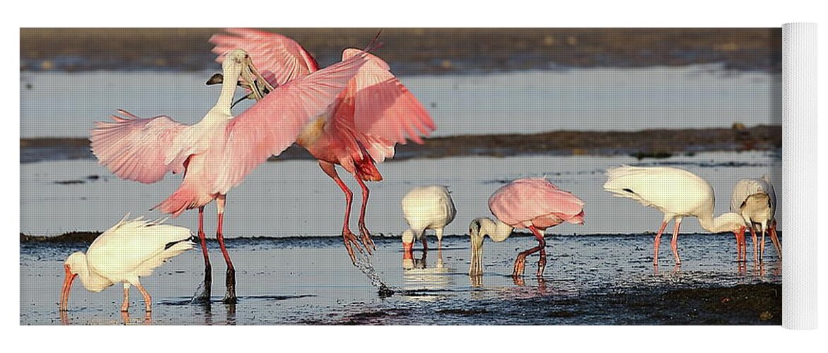 Roseate Spoonbill Yoga Mat featuring the photograph Roseate Spoonbill 9 by Mingming Jiang