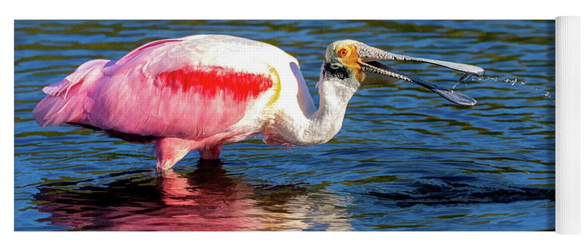 Roseate Spoonbill Yoga Mat featuring the photograph Roseate Spoonbill Fishing by Jaki Miller