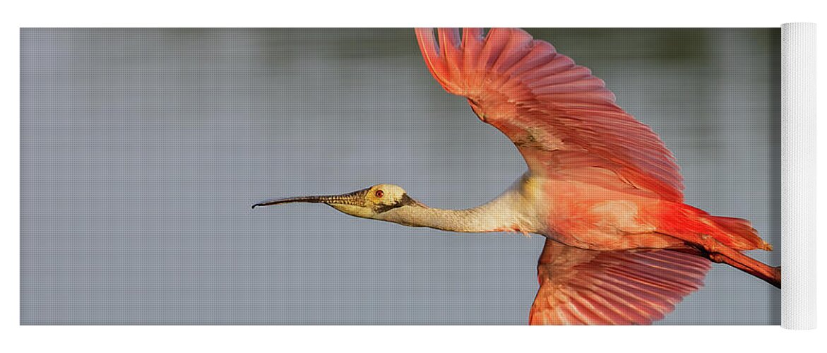 Roseate Spoonbill Yoga Mat featuring the photograph RSB In Flight #2Long by RD Allen