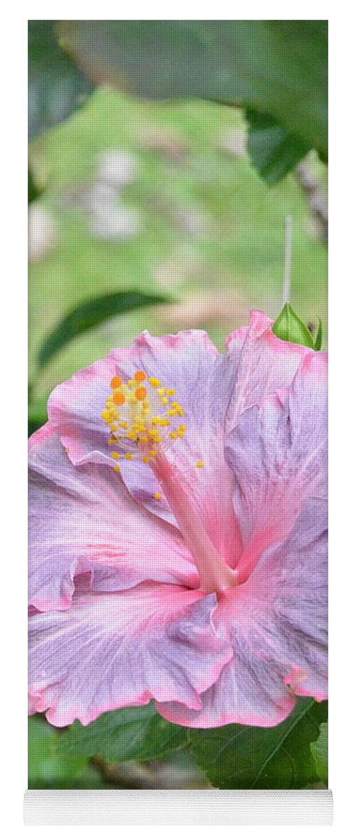 Flower Yoga Mat featuring the photograph Ruffled Purple Pink Hibiscus by Amy Fose