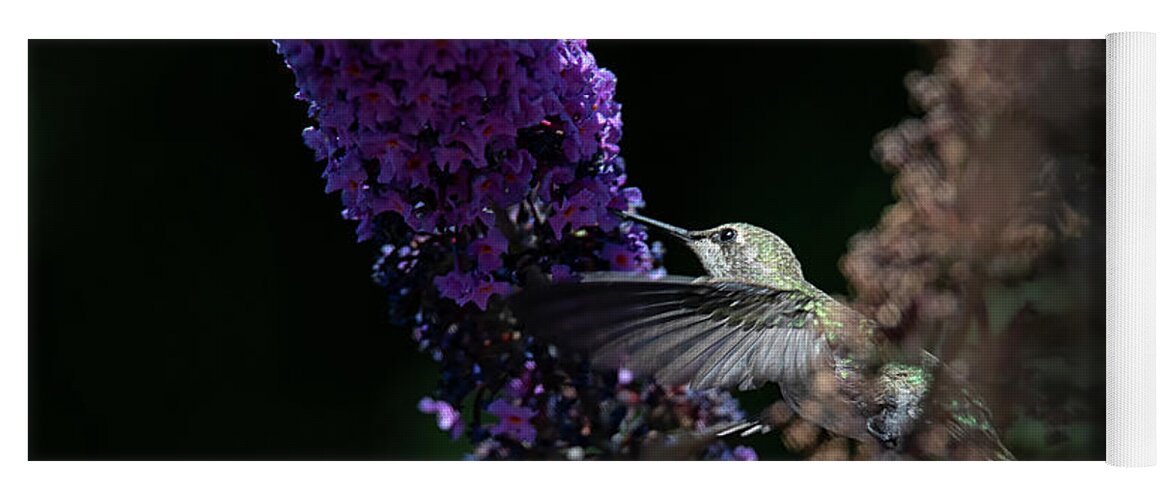 Rufous Hummingbird Yoga Mat featuring the photograph Rufous Female in a Butterfly Shrub by Randy Hall