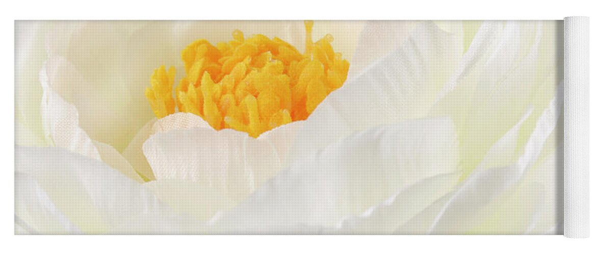 Ranunculus Yoga Mat featuring the photograph Rununculus Buttercup white flower macro by Severija Kirilovaite