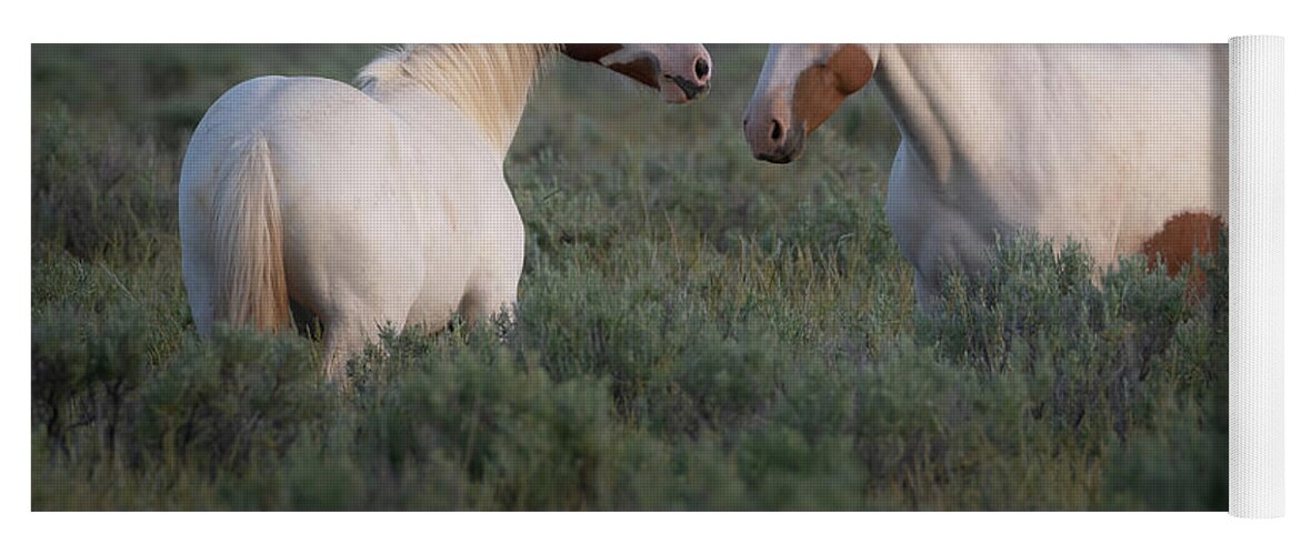 Wild Horses Yoga Mat featuring the photograph Sagebrush Angels by Mary Hone