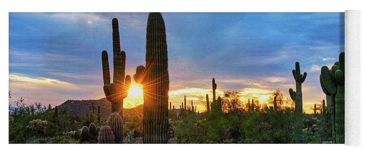 Sunset Yoga Mat featuring the photograph Saguaro Desert Sunset by Saija Lehtonen
