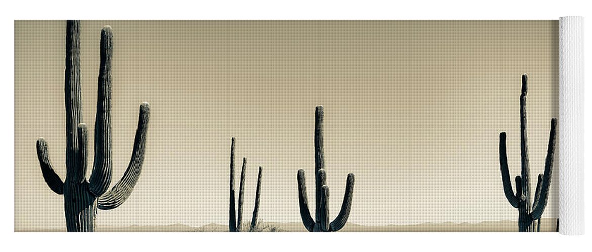 Saguaro Cacti Yoga Mat featuring the photograph Saguaro Landscape Sepia by Jennifer Wright