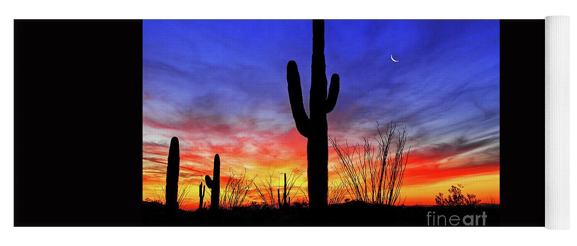 Moon Yoga Mat featuring the photograph Saguaro Ocotillo Sunset Crescent Moon, Arizona by Don Schimmel