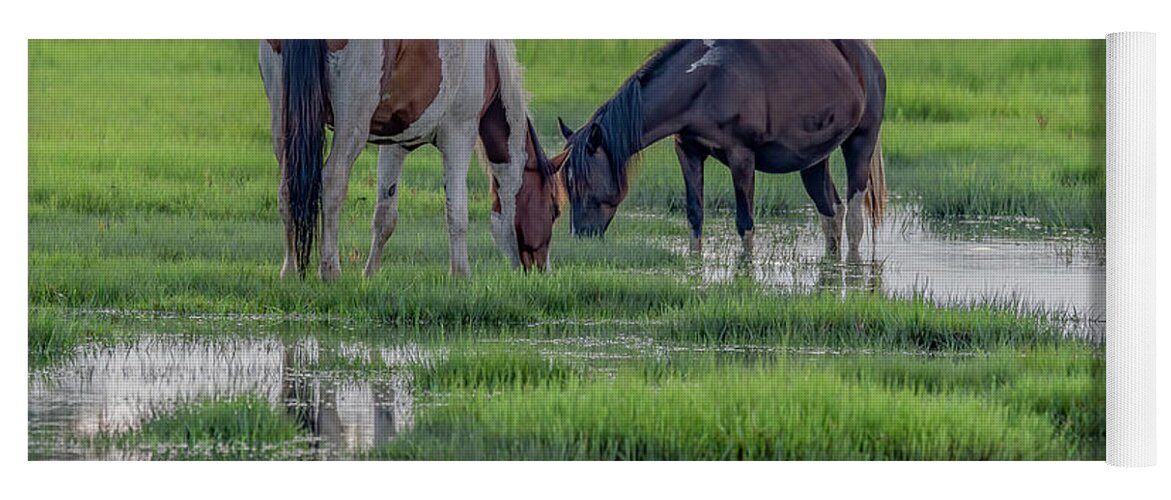 Chincoteague Island Yoga Mat featuring the photograph Saltwater Ponies of Chincoteague Island by Marcy Wielfaert