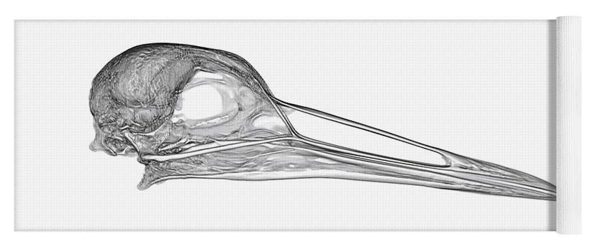 Bird Yoga Mat featuring the photograph Sandhill crane -1 by Rob Graham