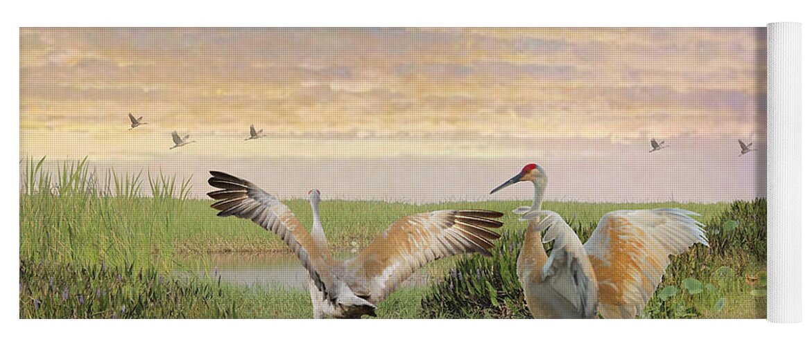 Birds Yoga Mat featuring the photograph Sandhill Crane Courtship by M Spadecaller