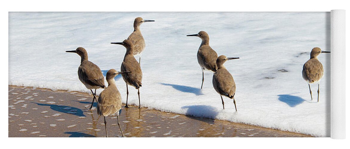 Bird Yoga Mat featuring the photograph Sandpipers Ocean Stakeout by Blair Damson