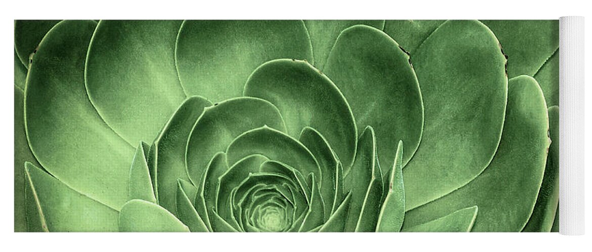 Environmental Yoga Mat featuring the photograph Santa Barbara Succulent #3 by Jennifer Wright