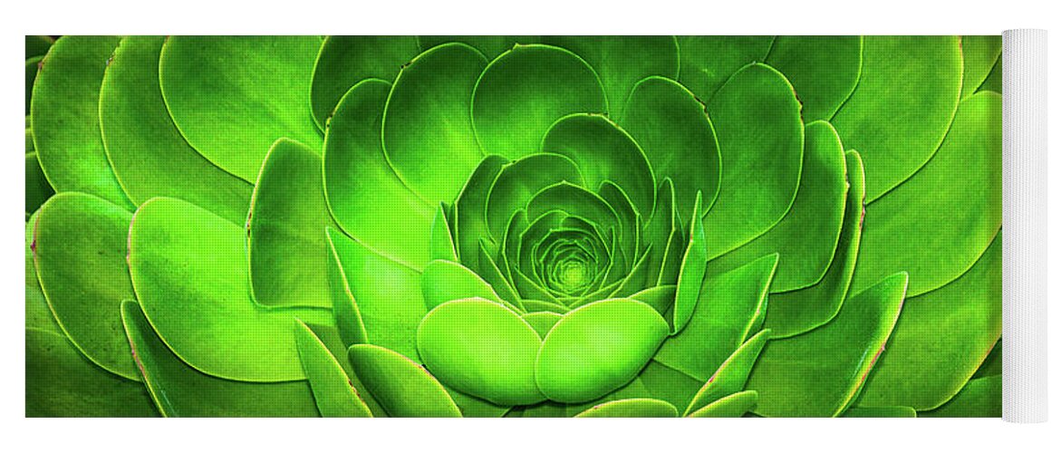 Environmental Yoga Mat featuring the photograph Santa Barbara Succulent #7 by Jennifer Wright