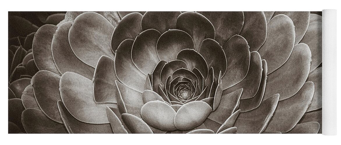 Zen Yoga Mat featuring the photograph Santa Barbara Succulent#16 by Jennifer Wright