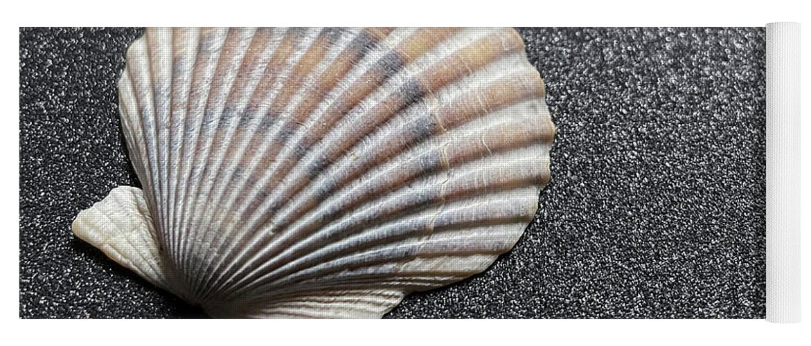 Seashells Yoga Mat featuring the photograph Scallop Shells on Sand by Joy Sussman