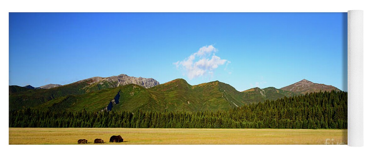 Alaska Yoga Mat featuring the photograph Scenic View with Coastal Brown Bear and Cubs by Patrick Nowotny