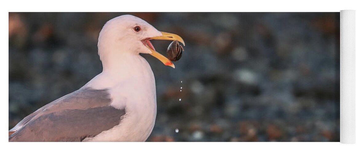 Sea Gull Yoga Mat featuring the photograph Sea Gull and The Pebble by Tahmina Watson