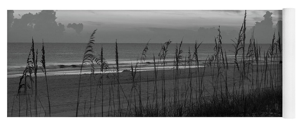Beach Yoga Mat featuring the photograph Sea Oats against Horizon on Florida Beach by James C Richardson
