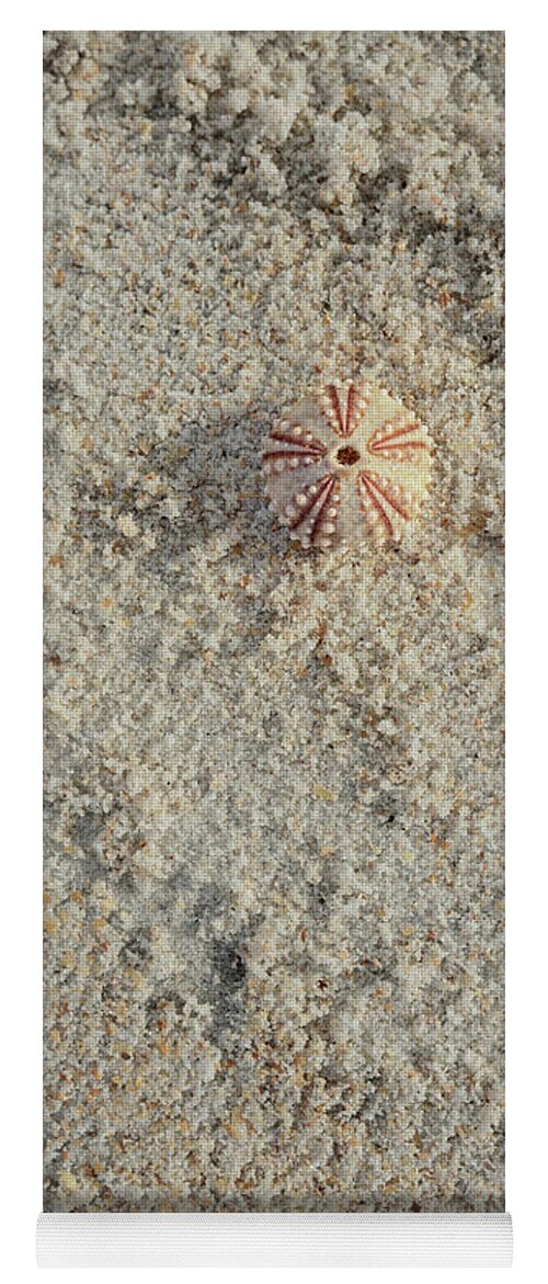 Sea Urchin Shell Yoga Mat featuring the photograph Sea Urchin Shell on Sandy Beach by Marianne Campolongo