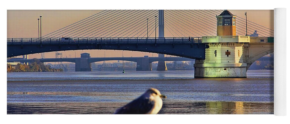 Seagull Yoga Mat featuring the photograph Seagull and Downtown Toledo Bridges 9163 by Jack Schultz