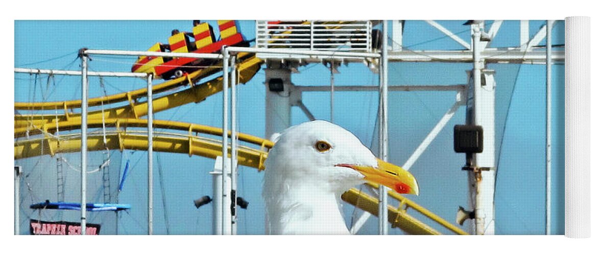 Rollercoaster Yoga Mat featuring the photograph Seagull at the Santa Monica Pier by Eyes Of CC