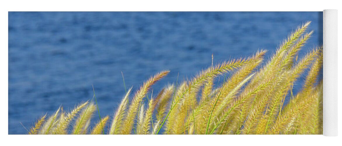 Blue Yoga Mat featuring the photograph Seaside Grasses by SR Green