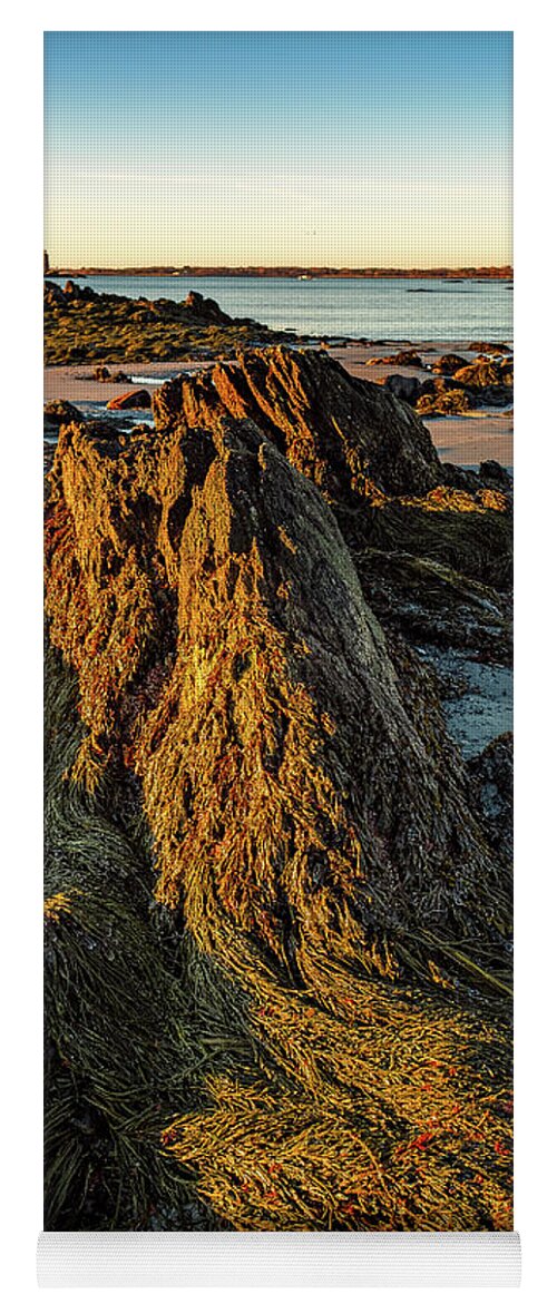 New Hampshire Yoga Mat featuring the photograph Seaweed Over Rocks At Low Tide, Fort Foster. by Jeff Sinon