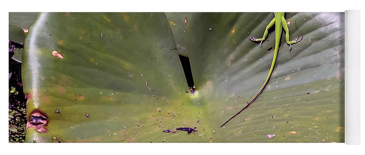 Green Yoga Mat featuring the photograph Sebring Lizard by Paul Vitko