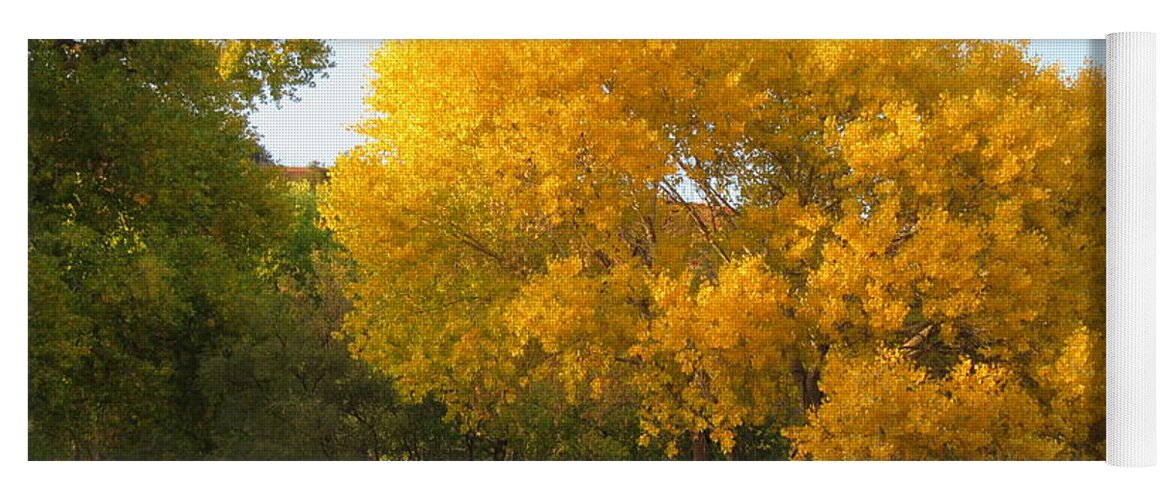 Sedona Yoga Mat featuring the photograph Sedona Cottonwood Tree Autumn Yellow Glowing by Mars Besso