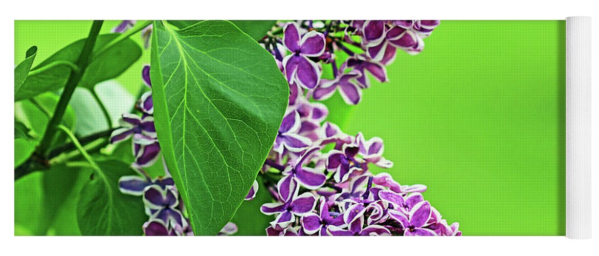 Lilacs Yoga Mat featuring the photograph Sensation Lilacs by Debbie Oppermann