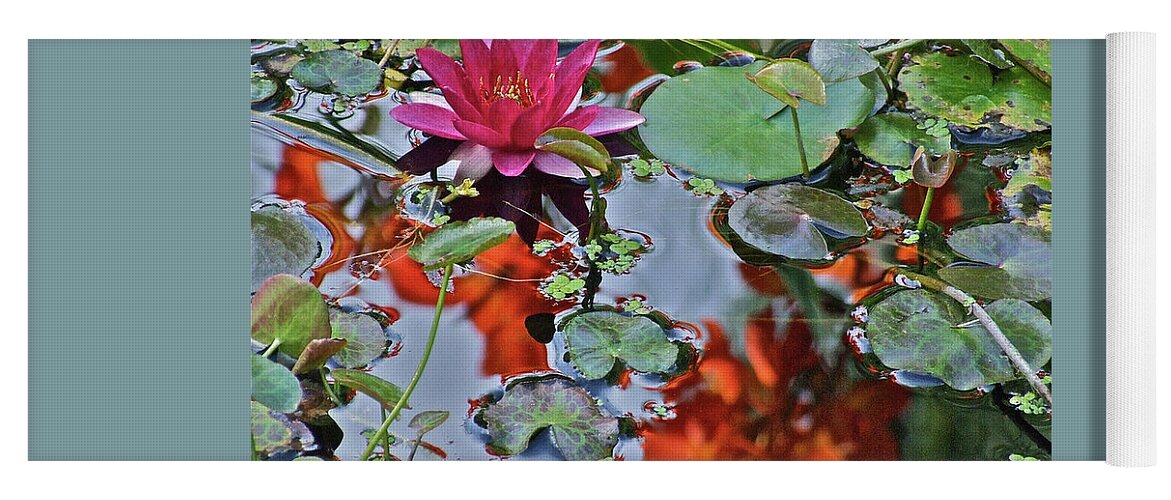 Waterlily: Water Garden Yoga Mat featuring the photograph September Rose Water Lily 1 by Janis Senungetuk