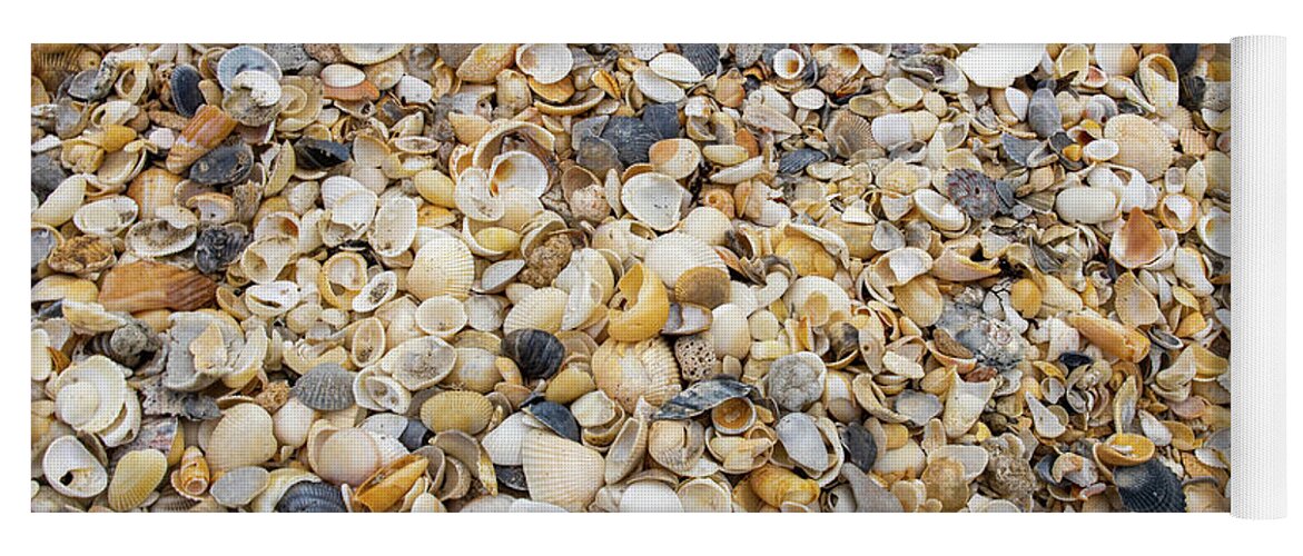 Shell Yoga Mat featuring the photograph Shells By The Sea by Blair Damson
