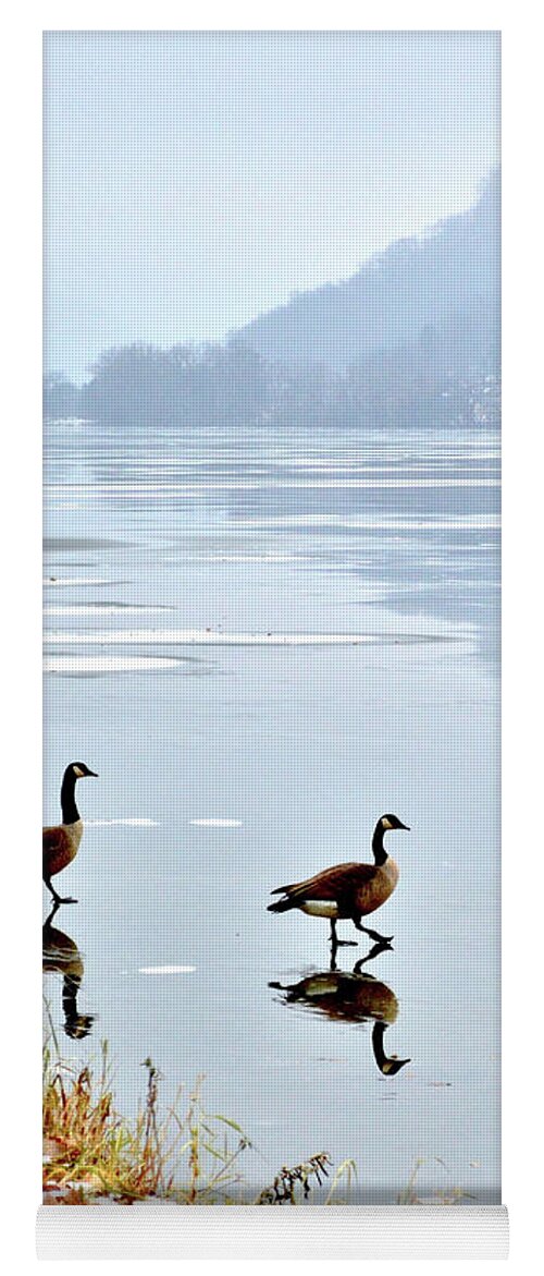 Geese Yoga Mat featuring the photograph Shortcut by Susie Loechler
