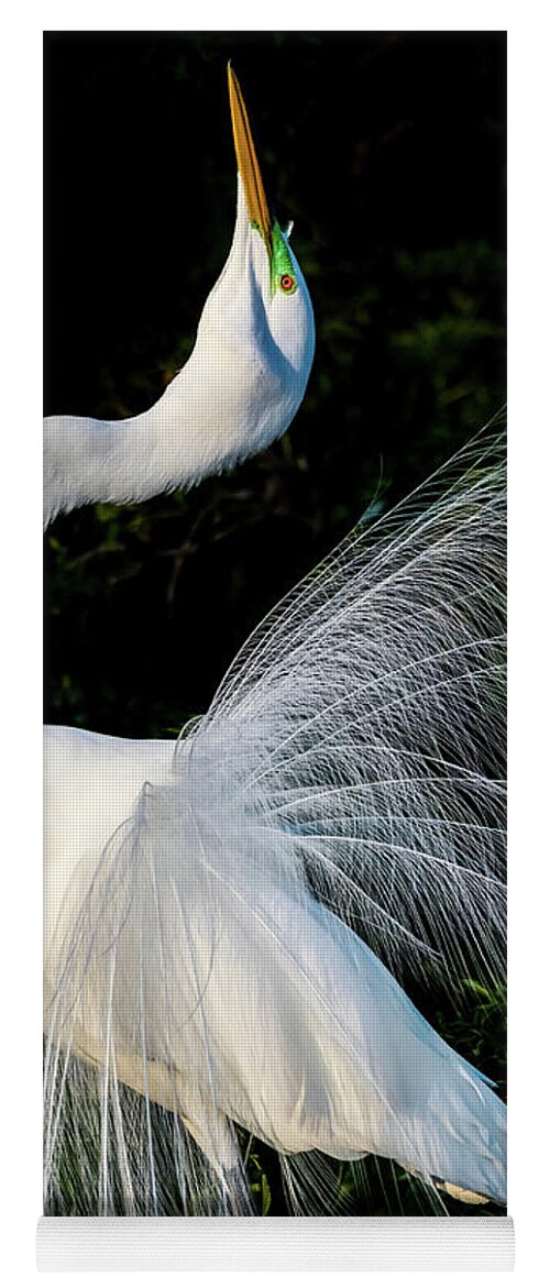 Great Egret Yoga Mat featuring the photograph Showoff II by Jim Miller