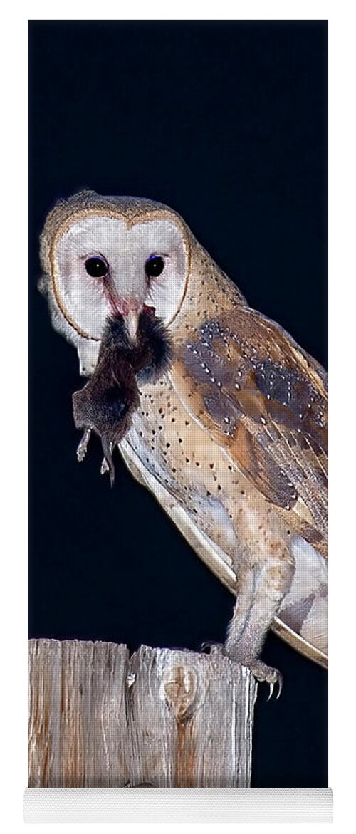 Barn Owl Yoga Mat featuring the photograph Silent Hunter by Judi Dressler