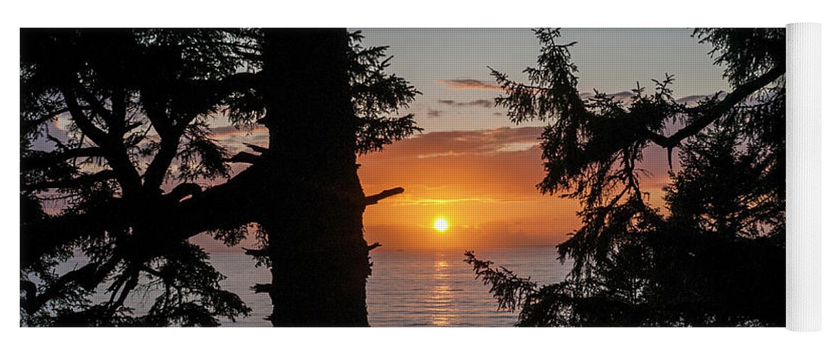 Afternoon Yoga Mat featuring the photograph Silhouettes of Spruce Trees                  by Robert Potts